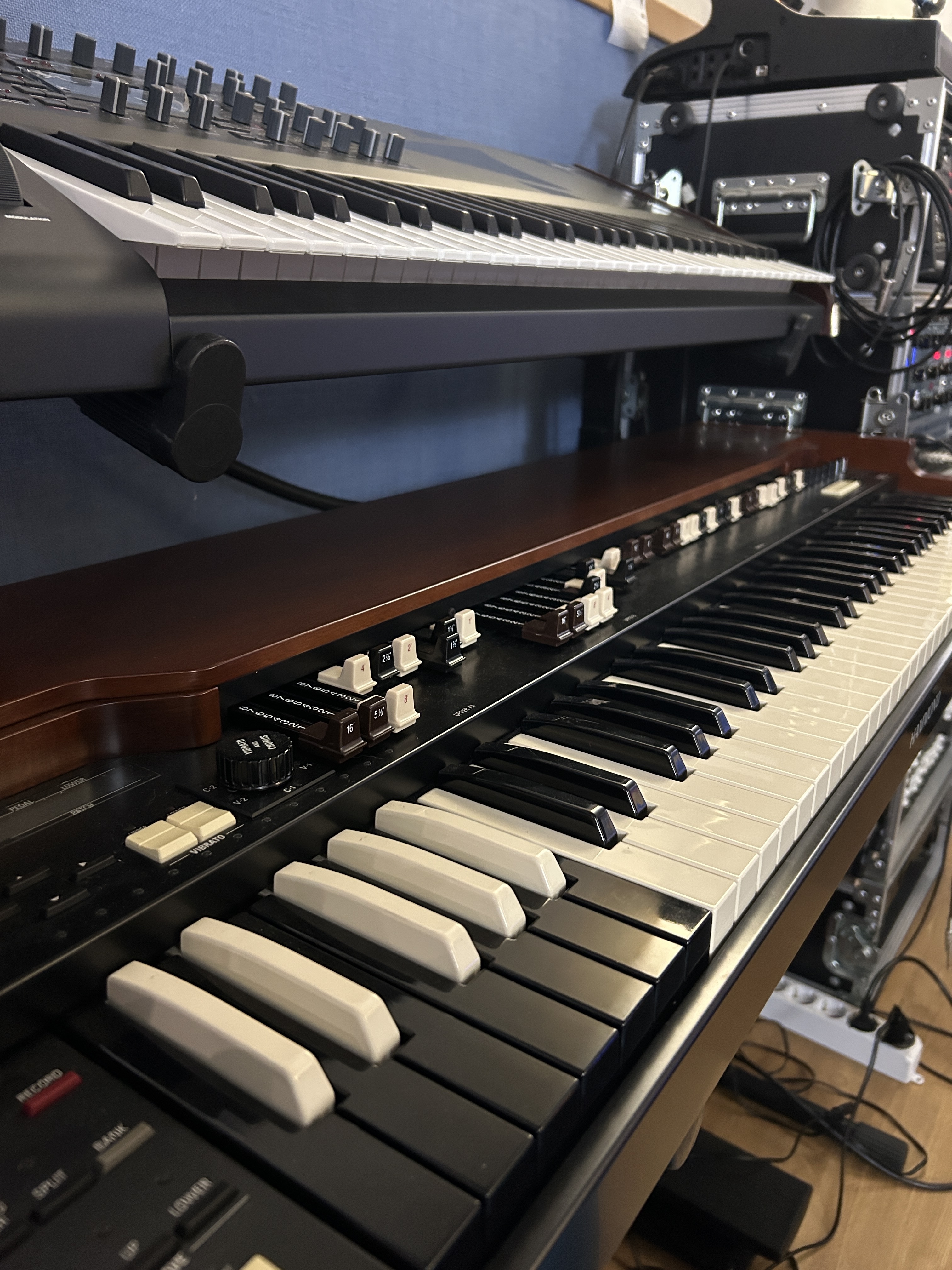 OVM_Virus Hammond_Vertical.jpeg